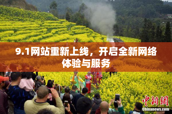 9.1网站重新上线，开启全新网络体验与服务