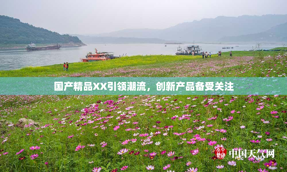国产精品XX引领潮流，创新产品备受关注