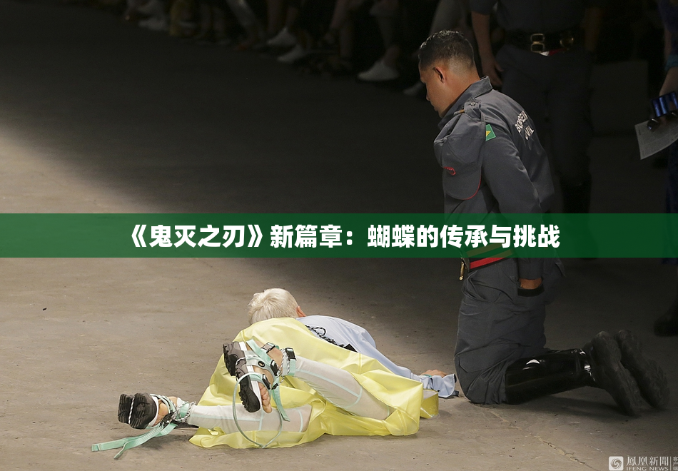 《鬼灭之刃》新篇章：蝴蝶的传承与挑战