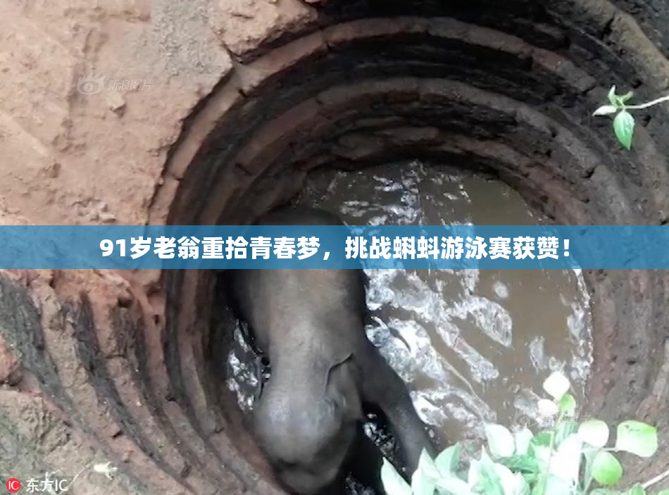 91岁老翁重拾青春梦，挑战蝌蚪游泳赛获赞！