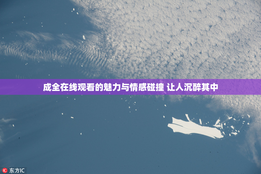 成全在线观看的魅力与情感碰撞 让人沉醉其中