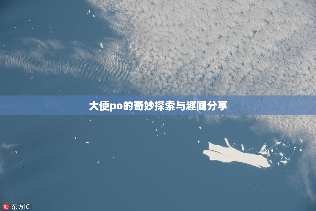 大便po的奇妙探索与趣闻分享