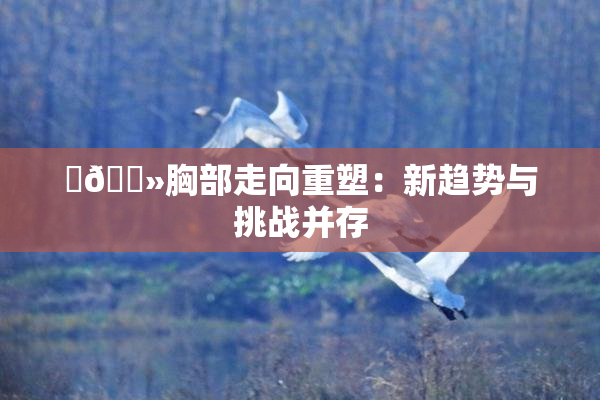 ‌🐻胸部走向重塑：新趋势与挑战并存