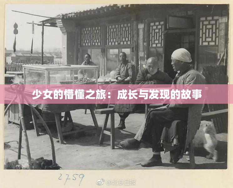少女的懵懂之旅：成长与发现的故事