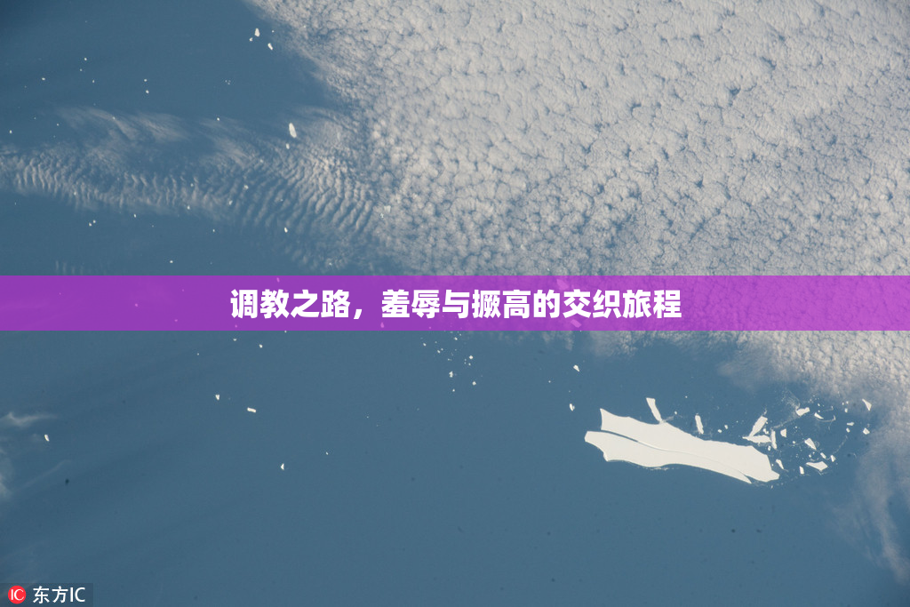 调教之路，羞辱与撅高的交织旅程