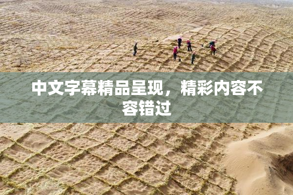 中文字幕精品呈现，精彩内容不容错过
