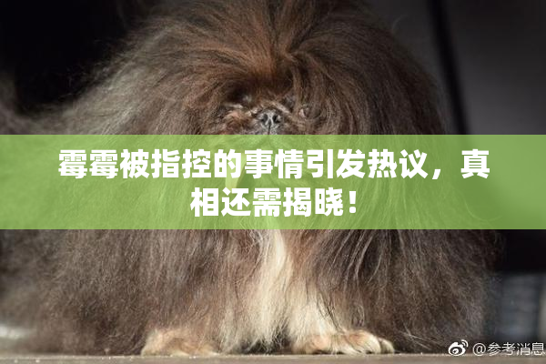 霉霉被指控的事情引发热议，真相还需揭晓！