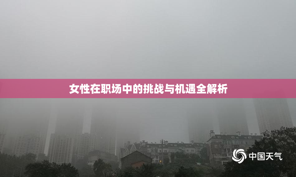 女性在职场中的挑战与机遇全解析