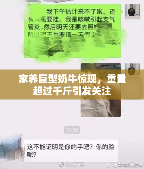 家养巨型奶牛惊现，重量超过千斤引发关注