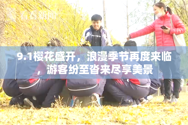 9.1樱花盛开，浪漫季节再度来临，游客纷至沓来尽享美景