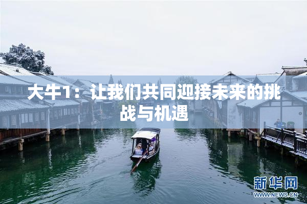 大牛1：让我们共同迎接未来的挑战与机遇
