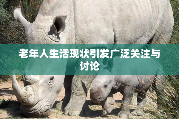 老年人生活现状引发广泛关注与讨论
