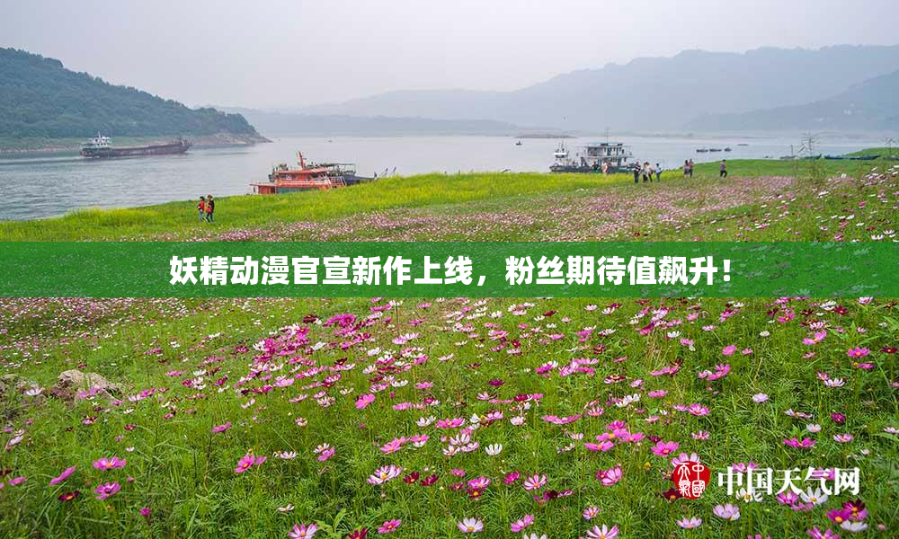 妖精动漫官宣新作上线，粉丝期待值飙升！