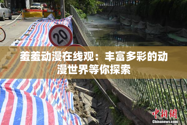 羞羞动漫在线观：丰富多彩的动漫世界等你探索
