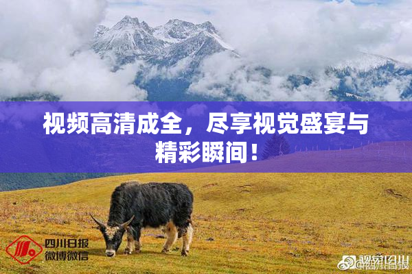 视频高清成全，尽享视觉盛宴与精彩瞬间！