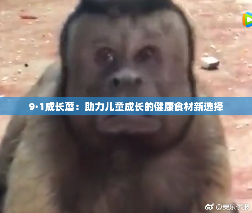 9·1成长蘑：助力儿童成长的健康食材新选择