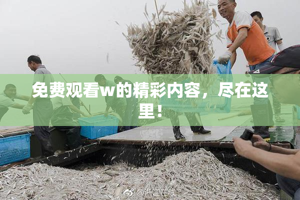 免费观看w的精彩内容，尽在这里！