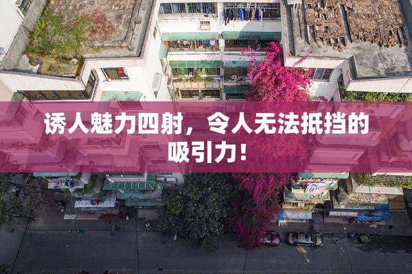诱人魅力四射，令人无法抵挡的吸引力！