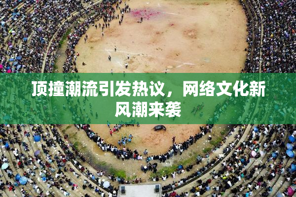 顶撞潮流引发热议，网络文化新风潮来袭