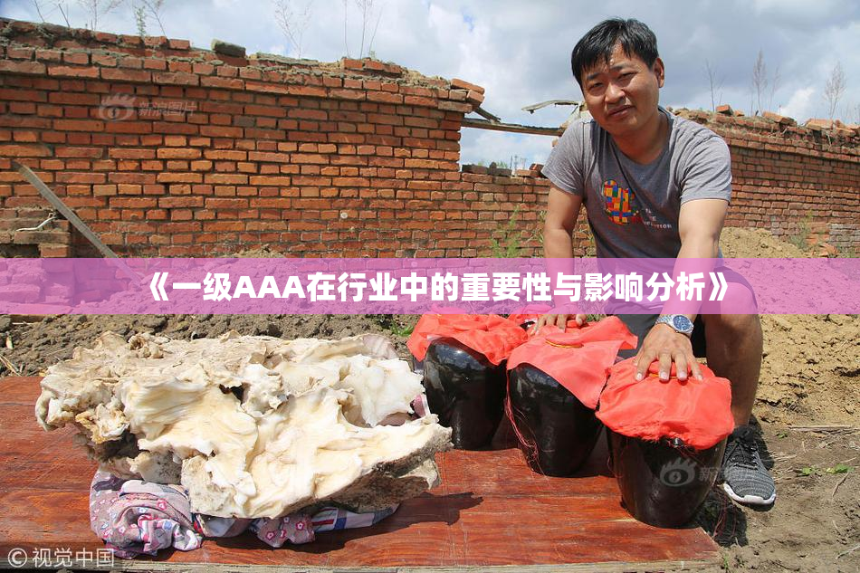 《一级AAA在行业中的重要性与影响分析》