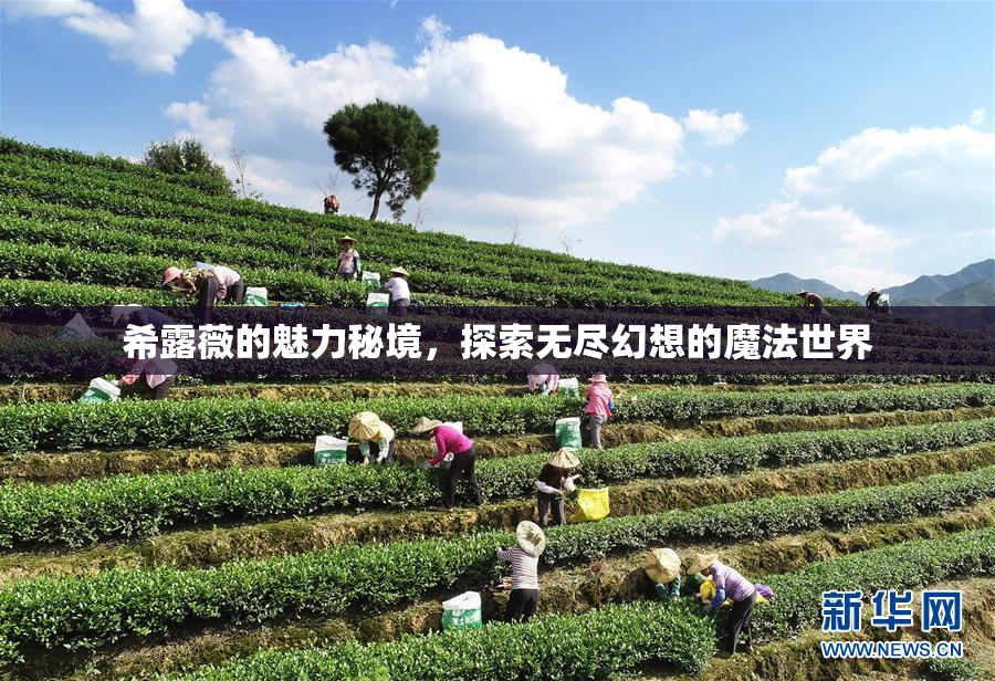希露薇的魅力秘境，探索无尽幻想的魔法世界
