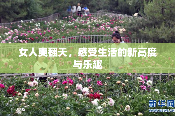女人爽翻天，感受生活的新高度与乐趣