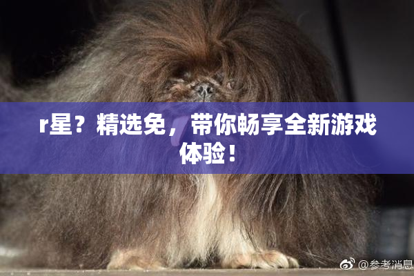 r星？精选免，带你畅享全新游戏体验！