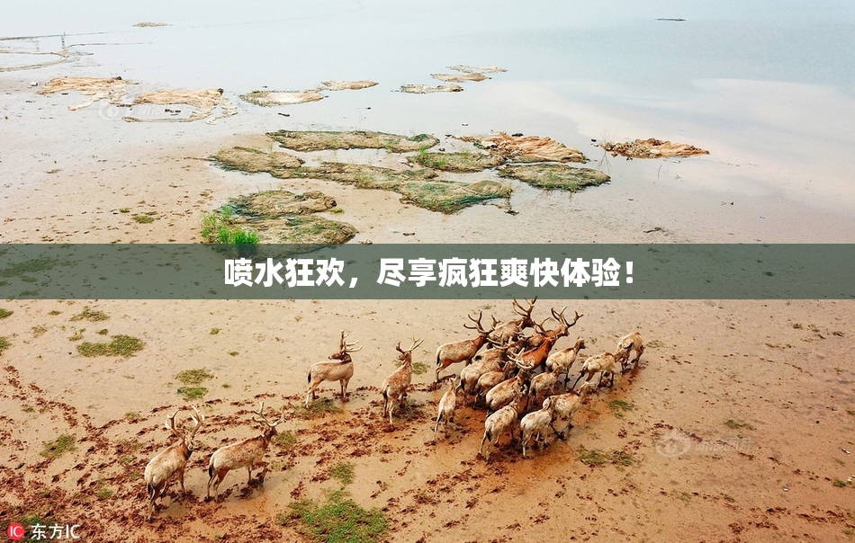 喷水狂欢，尽享疯狂爽快体验！