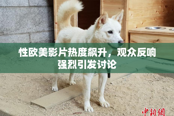 性欧美影片热度飙升，观众反响强烈引发讨论