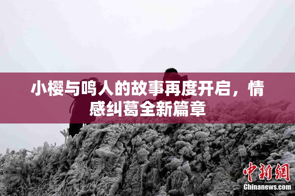 小樱与鸣人的故事再度开启，情感纠葛全新篇章