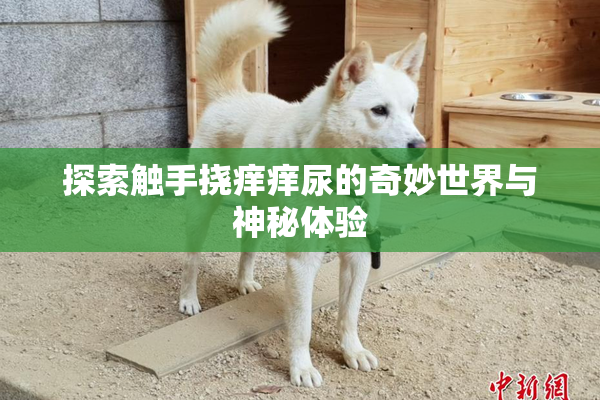探索触手挠痒痒尿的奇妙世界与神秘体验