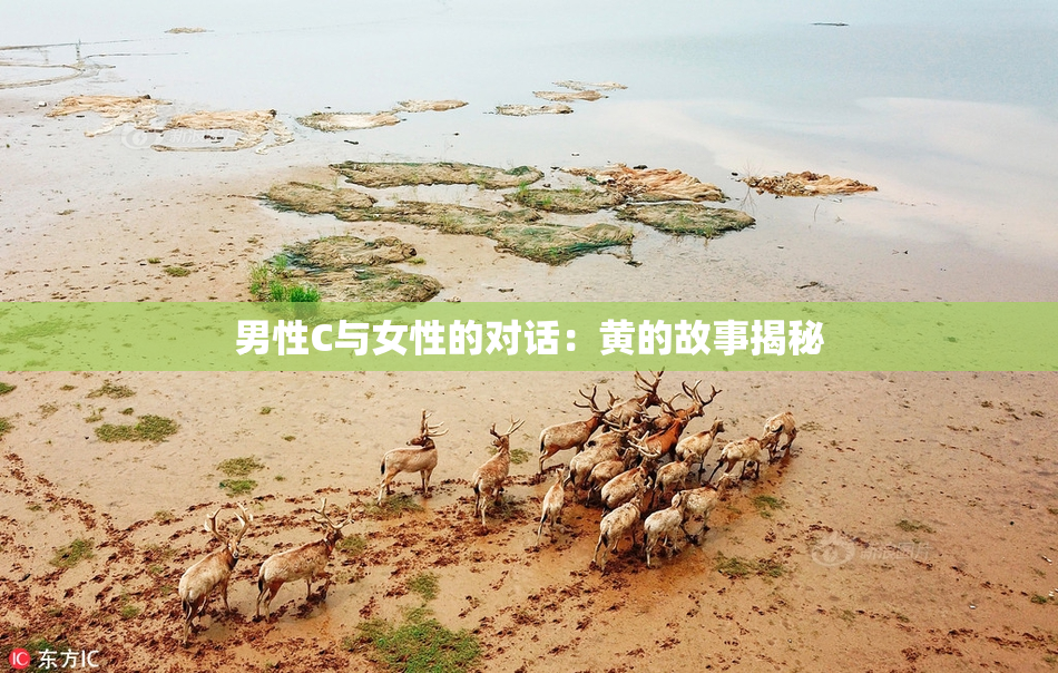 男性C与女性的对话：黄的故事揭秘