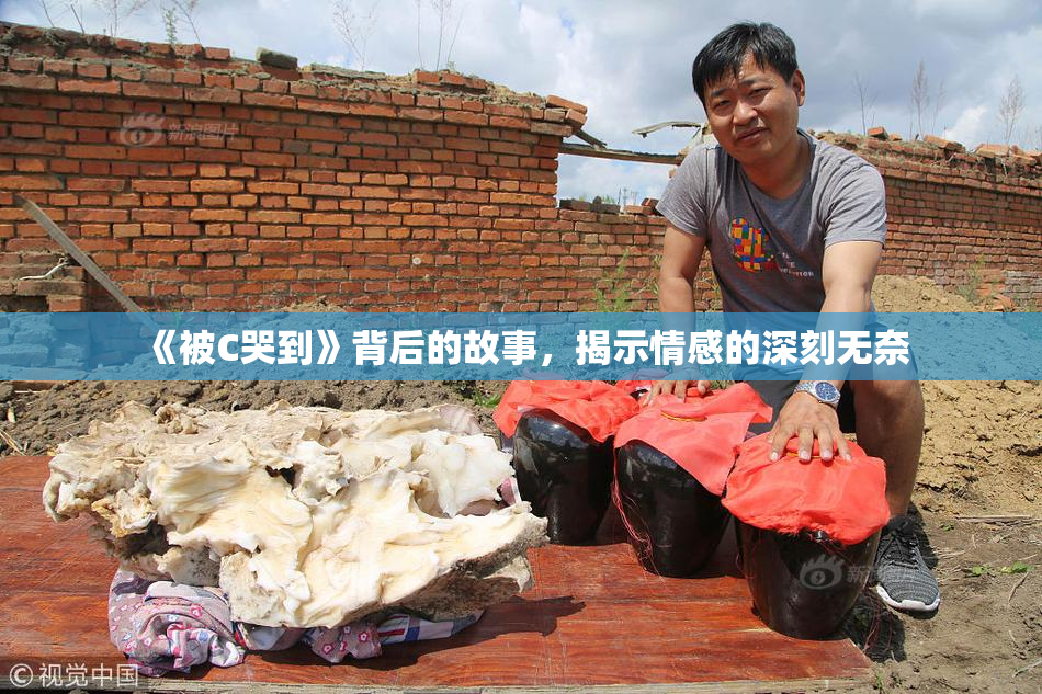 《被C哭到》背后的故事，揭示情感的深刻无奈