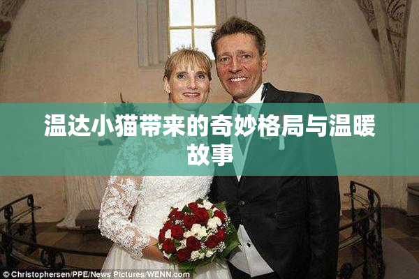 温达小猫带来的奇妙格局与温暖故事