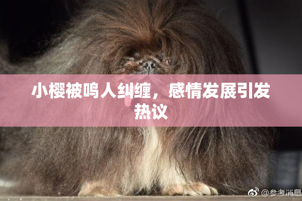 小樱被鸣人纠缠，感情发展引发热议