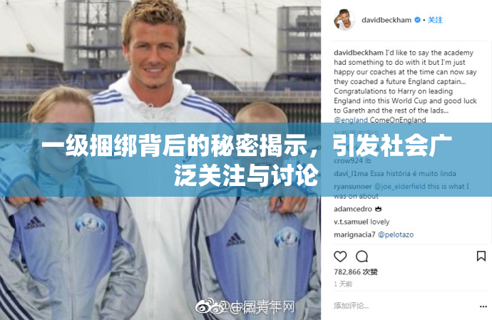一级捆绑背后的秘密揭示，引发社会广泛关注与讨论