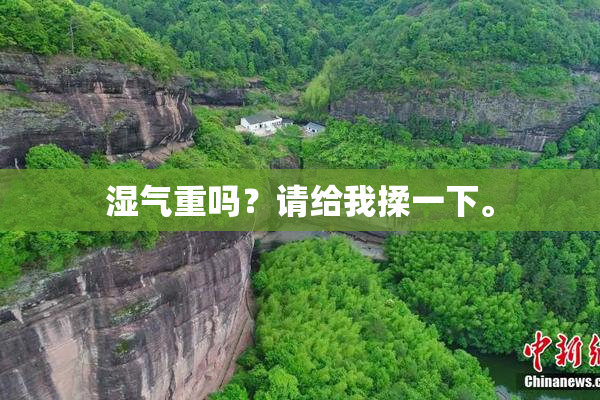 湿气重吗？请给我揉一下。