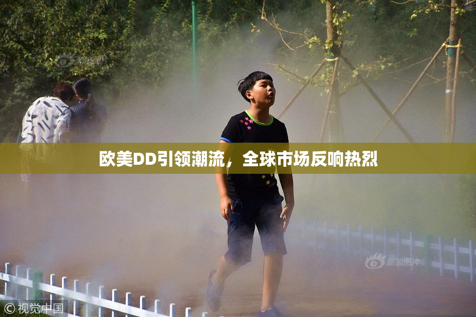 欧美DD引领潮流，全球市场反响热烈