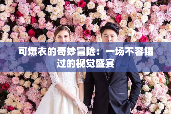 可爆衣的奇妙冒险：一场不容错过的视觉盛宴