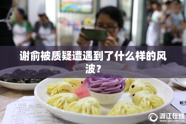 谢俞被质疑遭遇到了什么样的风波？