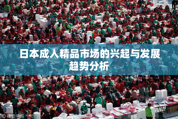 日本成人精品市场的兴起与发展趋势分析