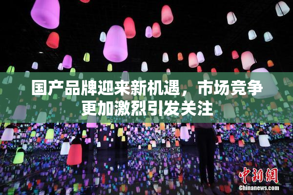 国产品牌迎来新机遇，市场竞争更加激烈引发关注