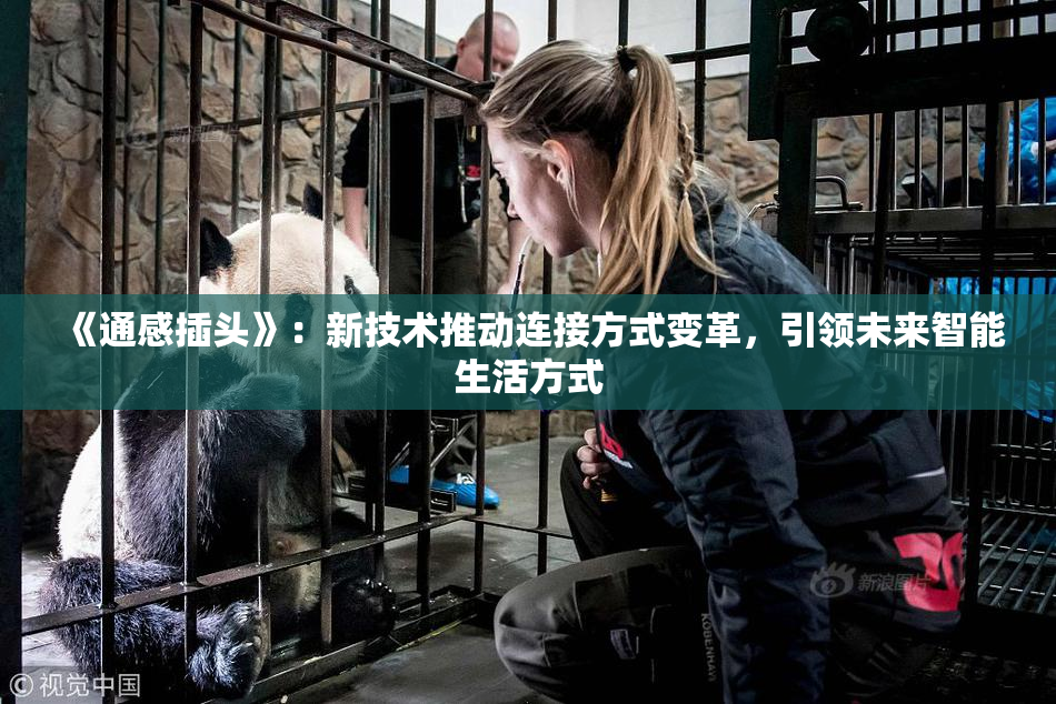 《通感插头》：新技术推动连接方式变革，引领未来智能生活方式