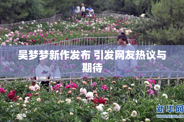 吴梦梦新作发布 引发网友热议与期待