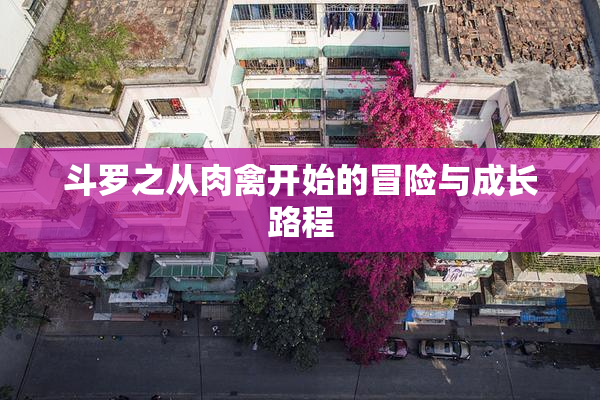 斗罗之从肉禽开始的冒险与成长路程
