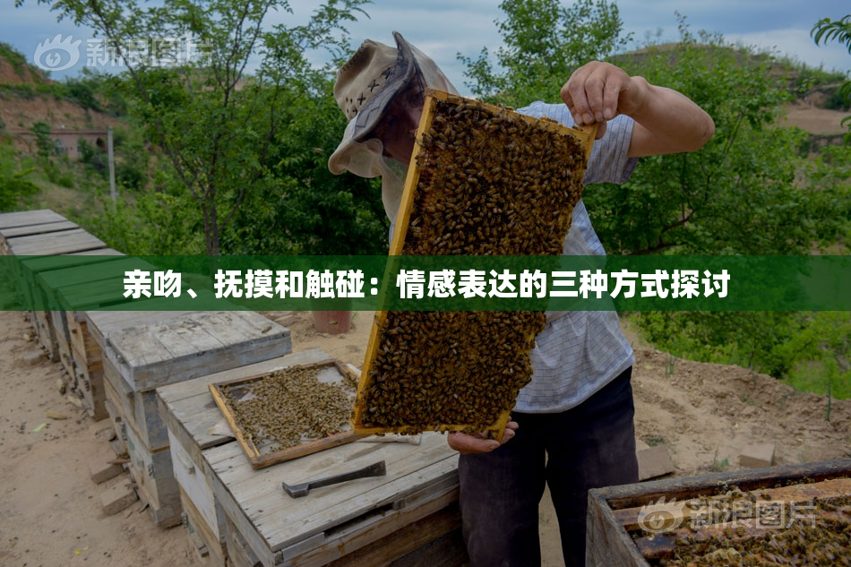 亲吻、抚摸和触碰：情感表达的三种方式探讨