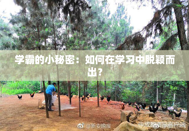 学霸的小秘密：如何在学习中脱颖而出？