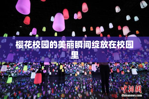 樱花校园的美丽瞬间绽放在校园里