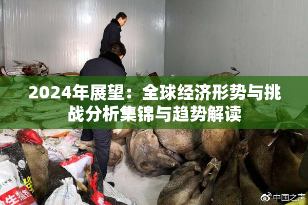 2024年展望：全球经济形势与挑战分析集锦与趋势解读