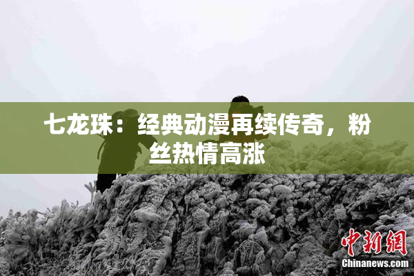 七龙珠：经典动漫再续传奇，粉丝热情高涨